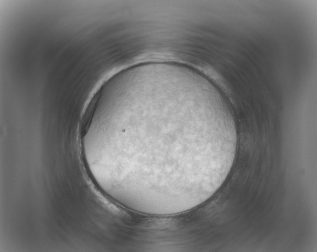 X0000062891382200601271636