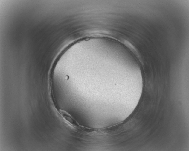 X0000062891384200601271636