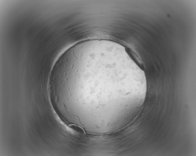 X0000062891387200601271636