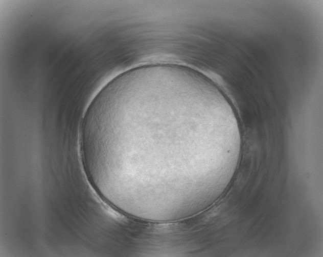 X0000062891390200601271636