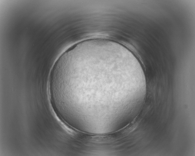 X0000062891391200601271636