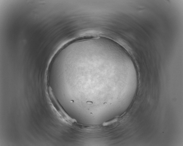 X0000062891392200601271636