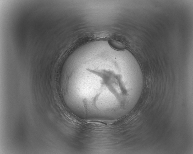 X0000062891393200601271635