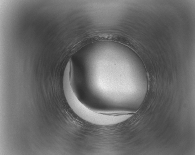 X0000062891394200601271635