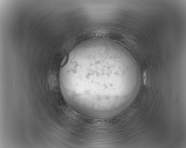 X0000062891395200601271635