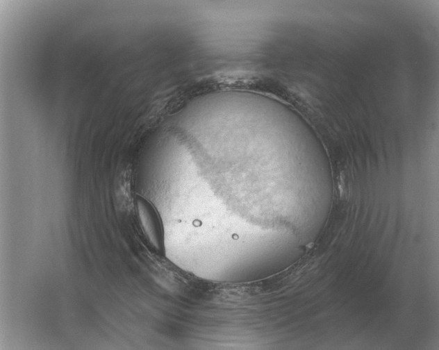 X0000062891396200601271635