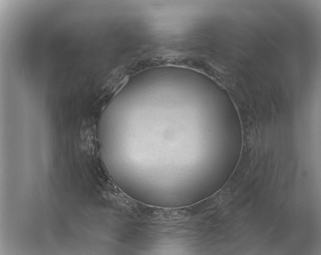 X0000062891397200601271635