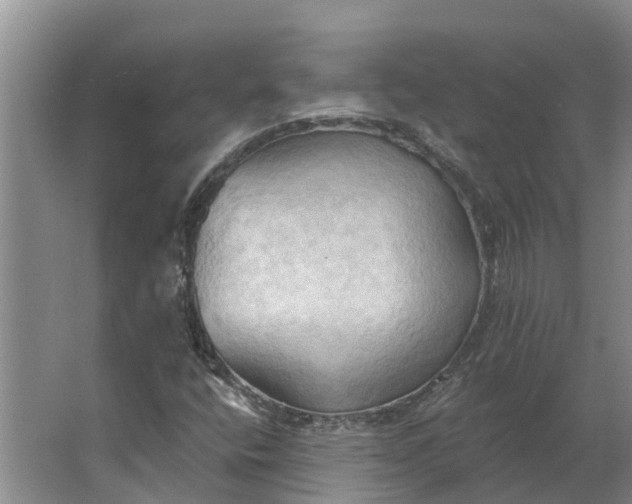 X0000062891400200601271635