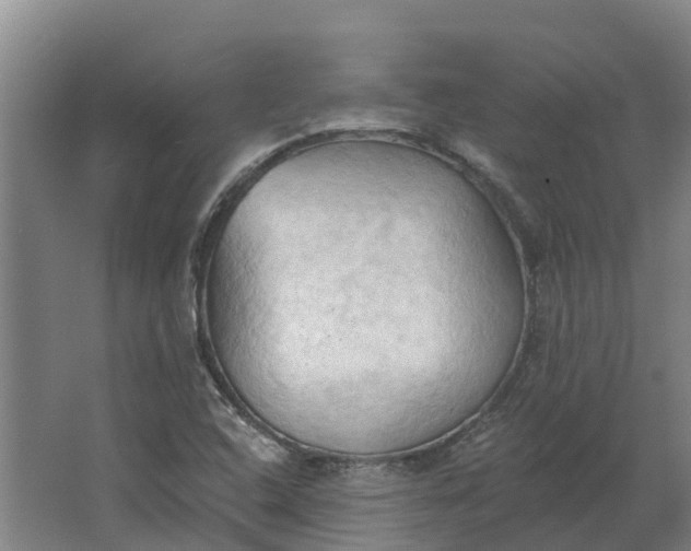 X0000062891408200601271636