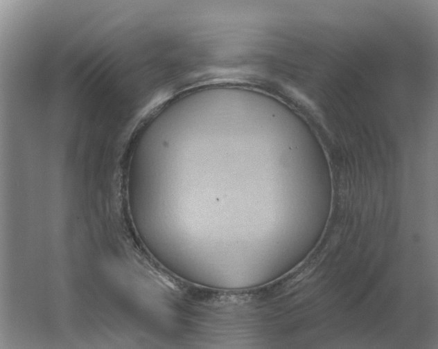 X0000062891411200601271636