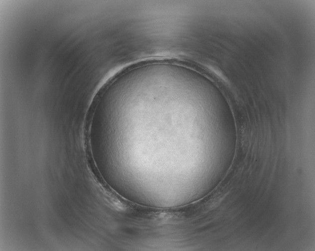 X0000062891412200601271636