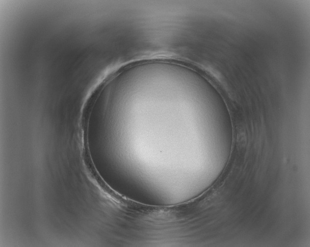 X0000062891414200601271636