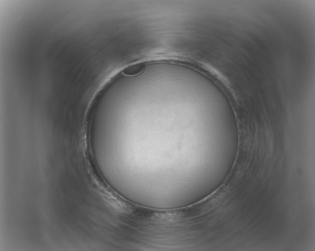 X0000062891415200601271636