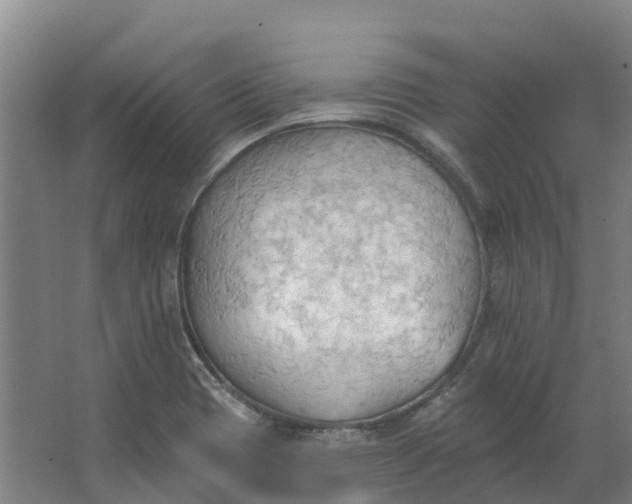 X0000062891417200601271636