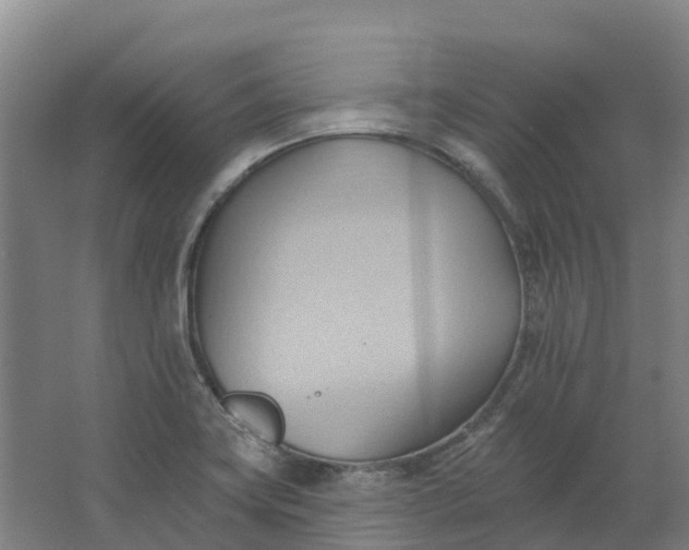 X0000062891419200601271636