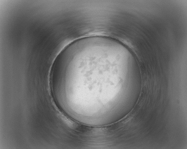 X0000062891423200601271636