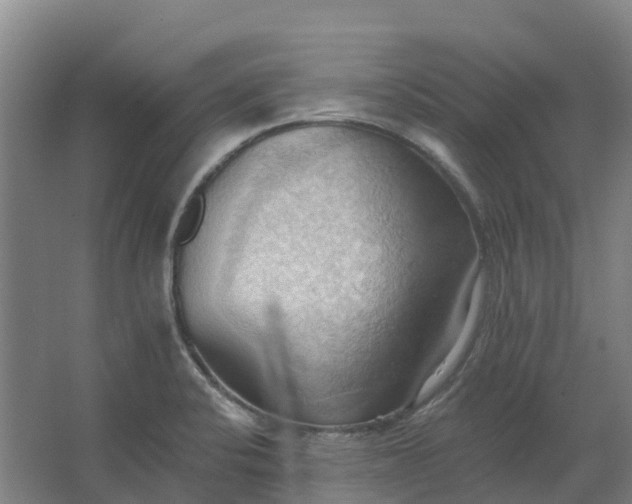 X0000062891424200601271636