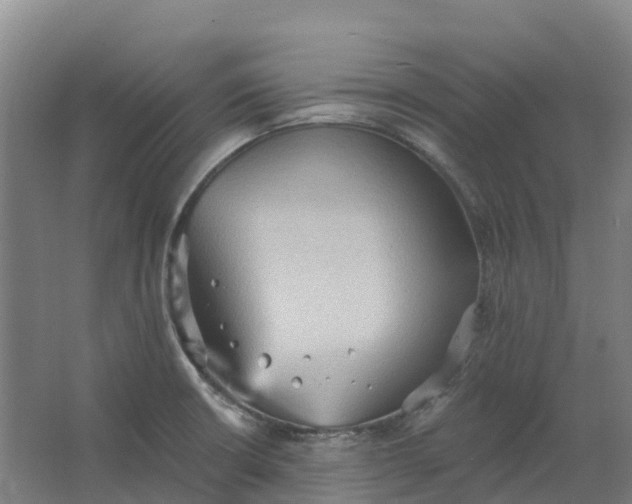 X0000062891426200601271636