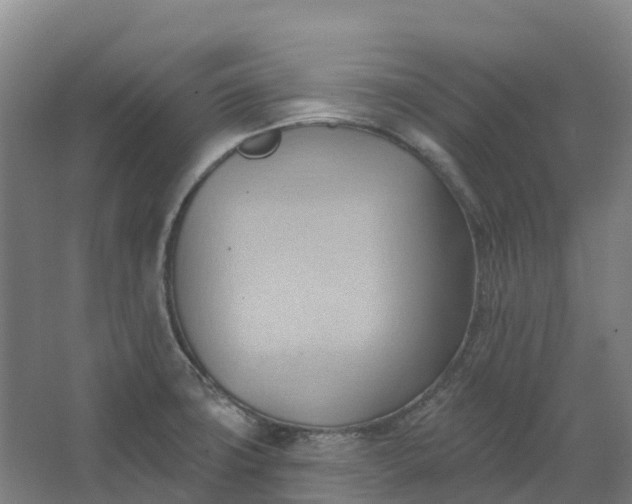 X0000062891427200601271636