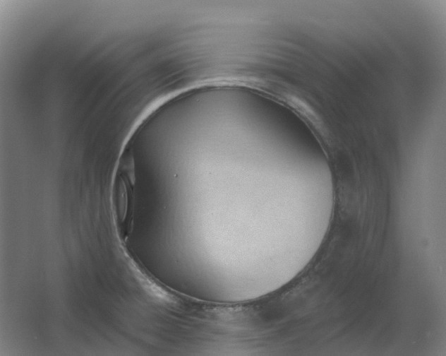 X0000062891428200601271636