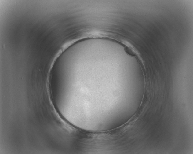 X0000062891429200601271636