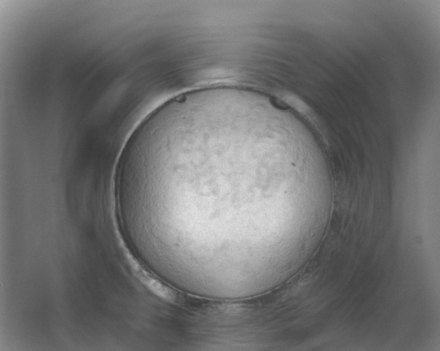 X0000062891431200601271636