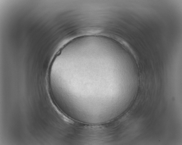 X0000062891432200601271636