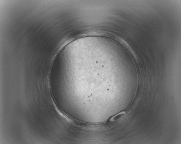 X0000062891433200601271636