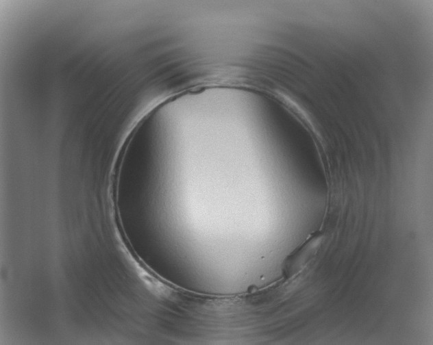 X0000062891434200601271636