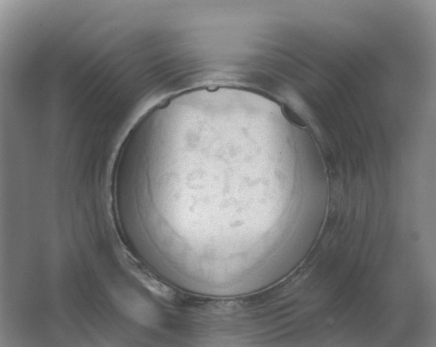 X0000062891435200601271636