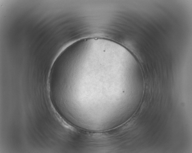 X0000062891436200601271636