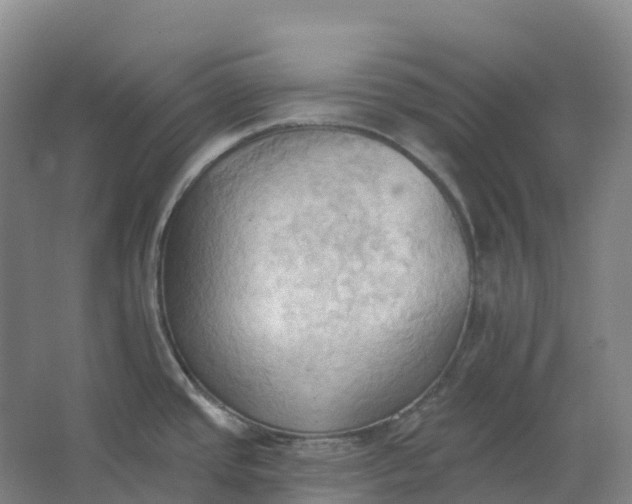 X0000062891437200601271636