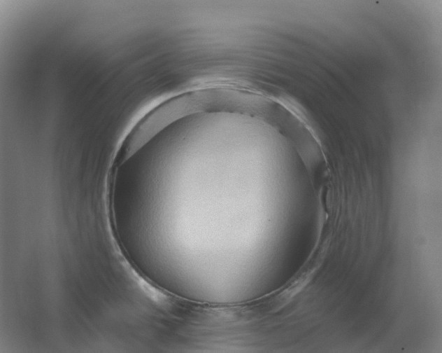 X0000062891438200601271636