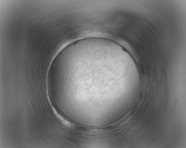 X0000062891439200601271636