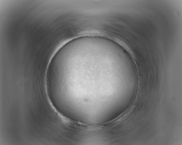 X0000062891440200601271636