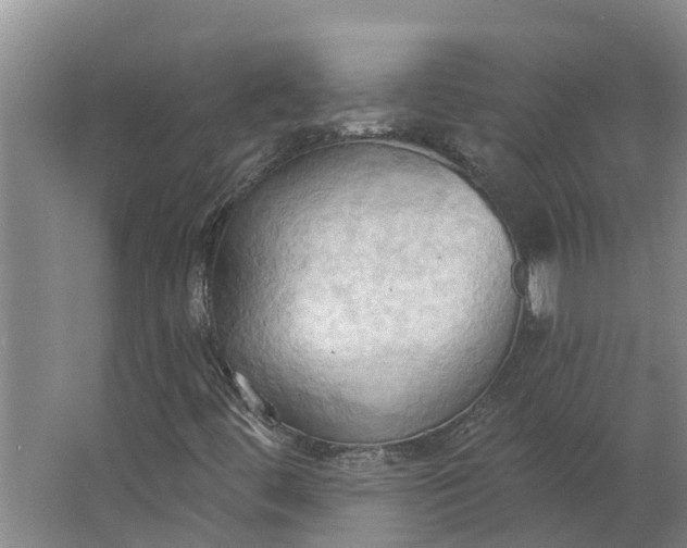 X0000062891444200601271635