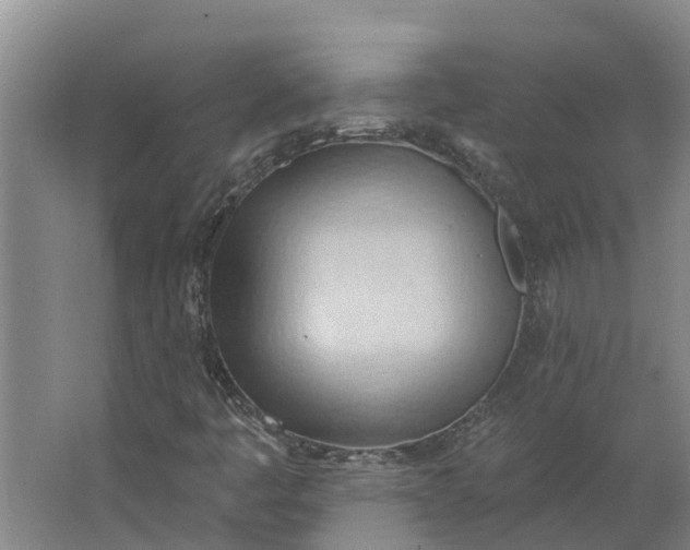 X0000062891445200601271635