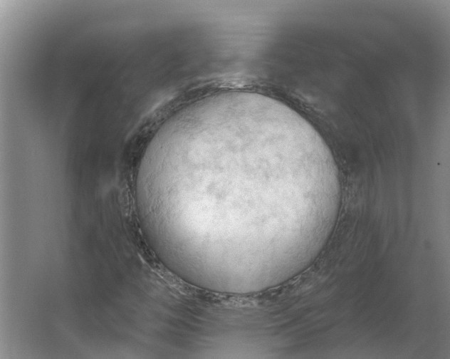 X0000062891446200601271635