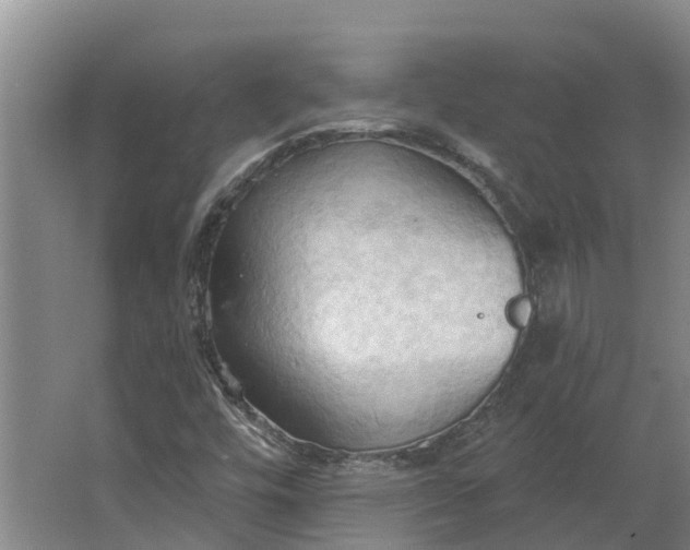 X0000062891448200601271635