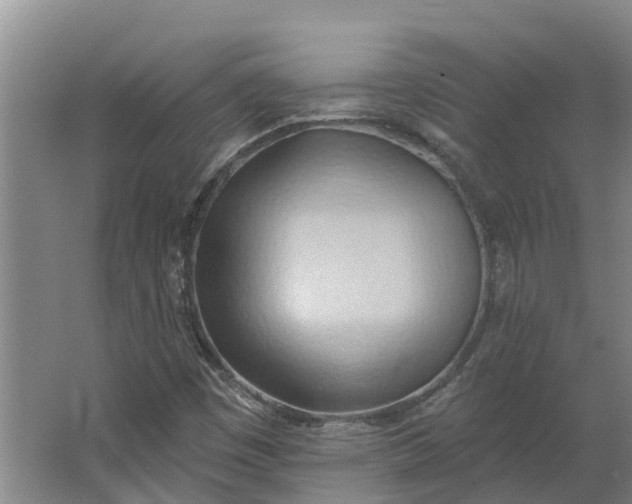 X0000062891449200601271635