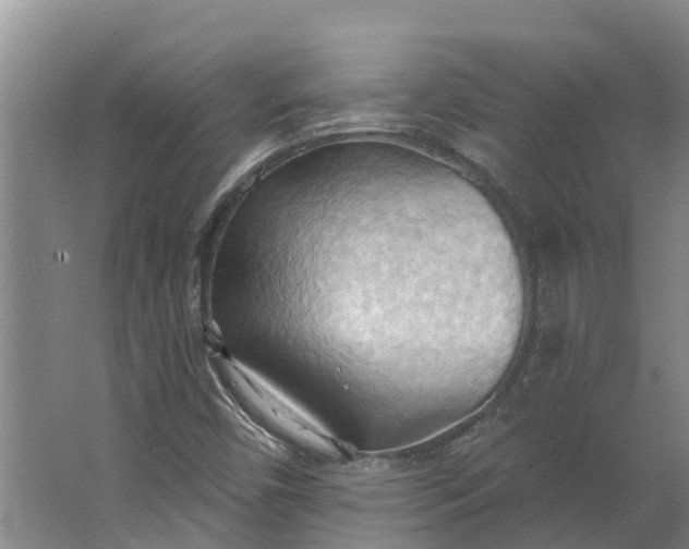 X0000062891450200601271635