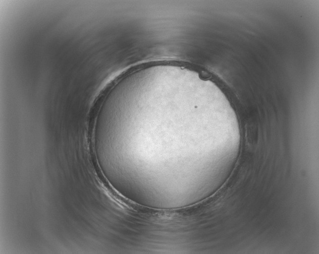 X0000062891452200601271635