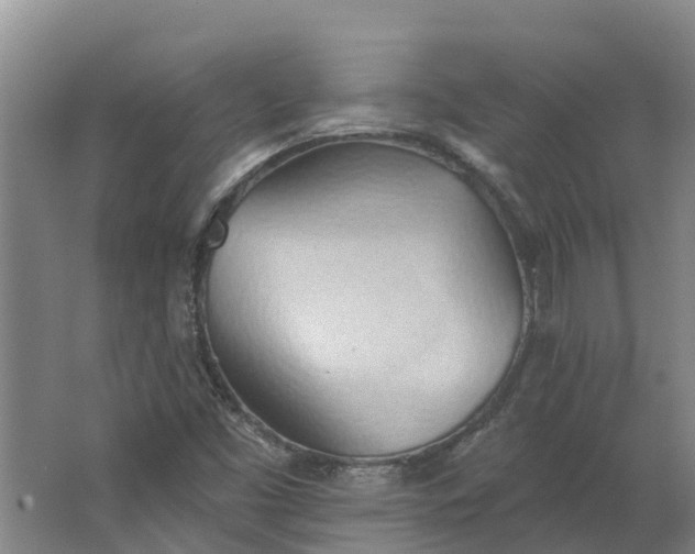 X0000062891453200601271635