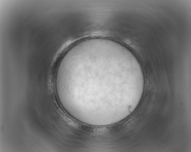 X0000062891454200601271635