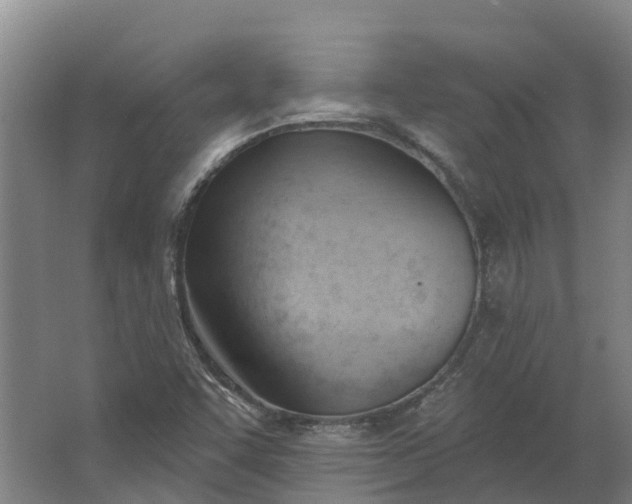 X0000062891455200601271635