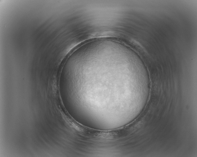 X0000062891457200601271635