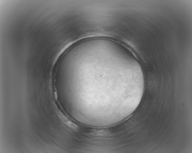 X0000062891460200601271635