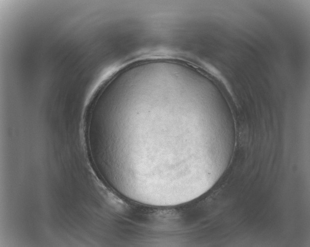 X0000062891464200601271635