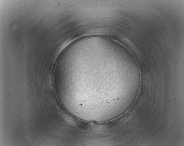 X0000062891465200601271635