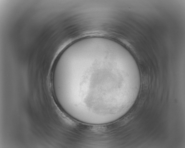 X0000062891466200601271635